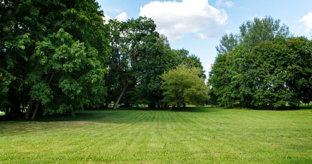 Passivhaus-y-Arquitectura-Rural-Desafíos-y-Soluciones-en-Entornos-Naturales