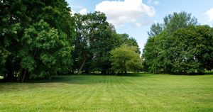 Passivhaus-y-Arquitectura-Rural-Desafíos-y-Soluciones-en-Entornos-Naturales